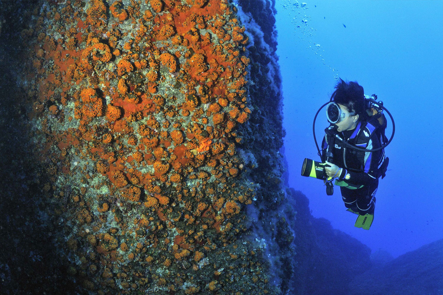 Lampedusa